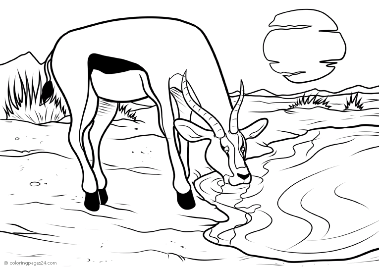 Free Printable Coloring Pages for Kids and Adults