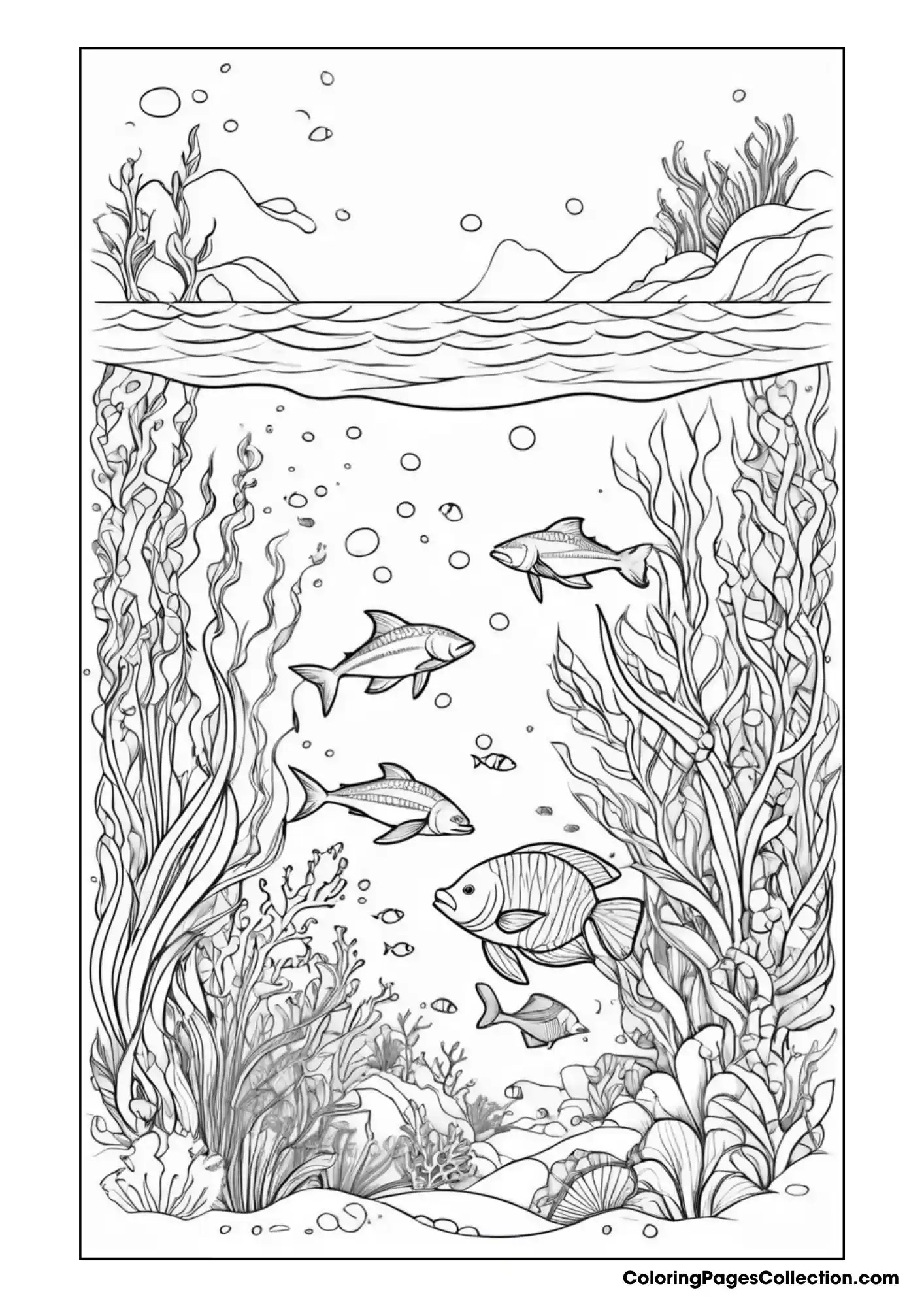 Ocean Coloring Pages Free Printable