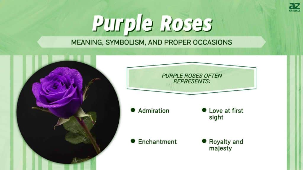 What does purple color flower mean?