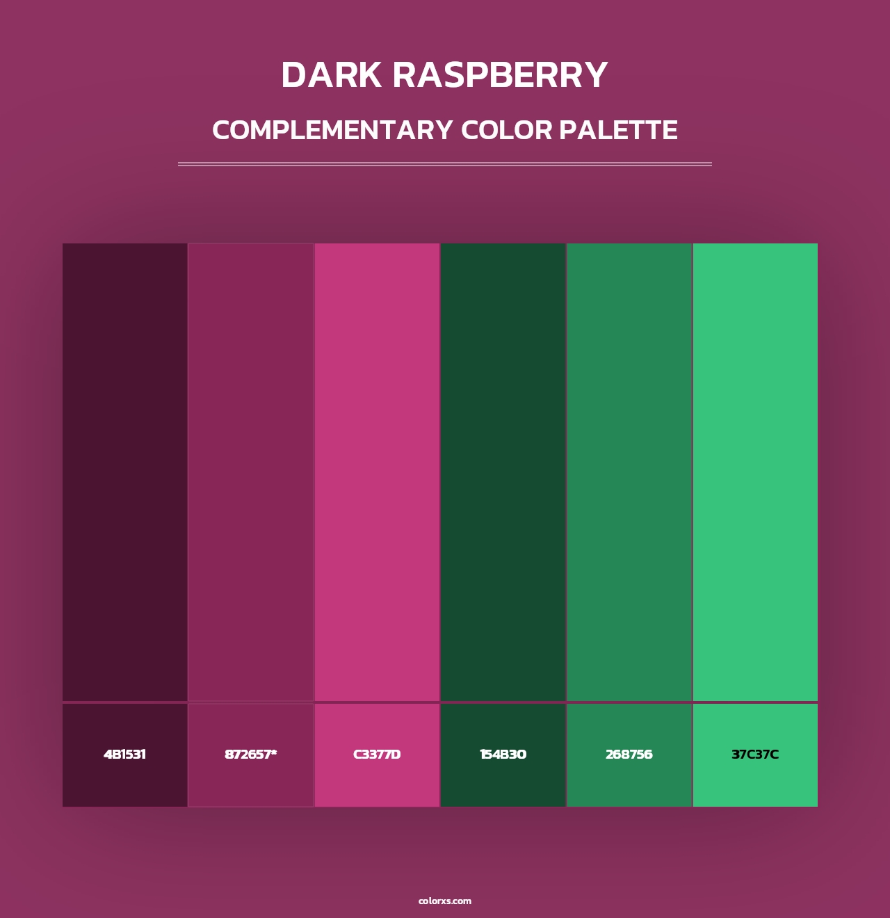 Dark Raspberry color palettes