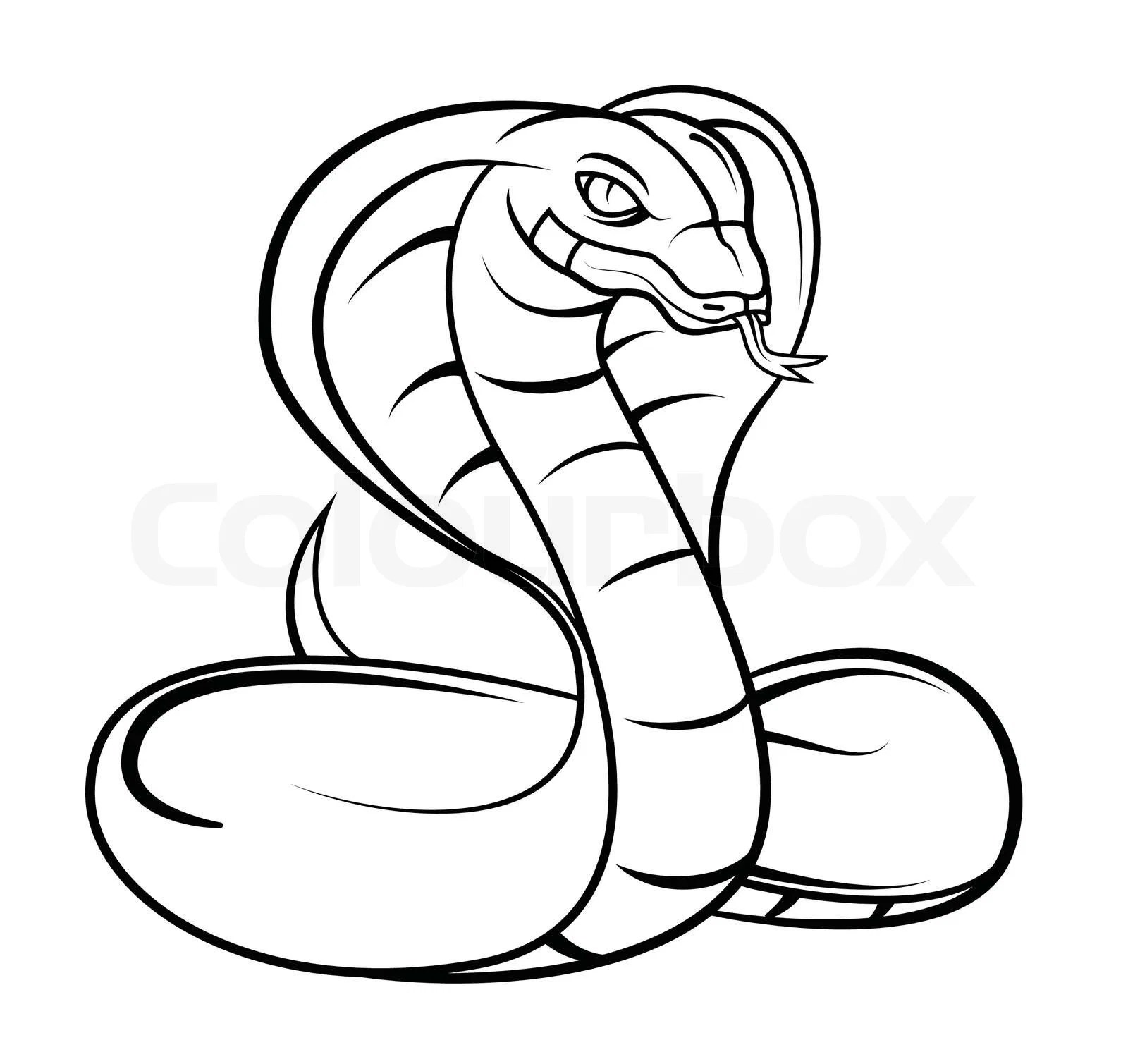 Cobra Stock Vector Colourbox