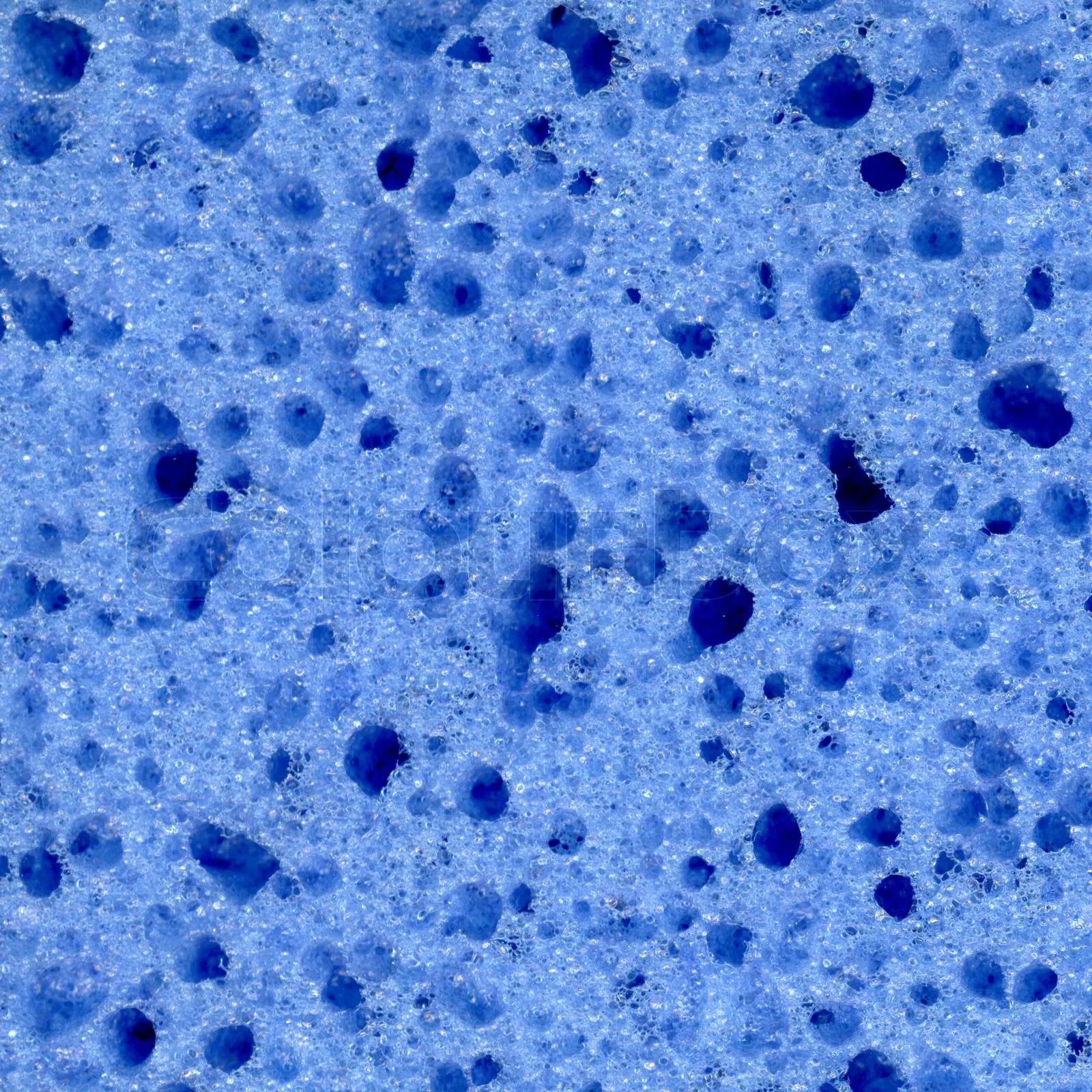 Blue Sponge Stock Photo Colourbox