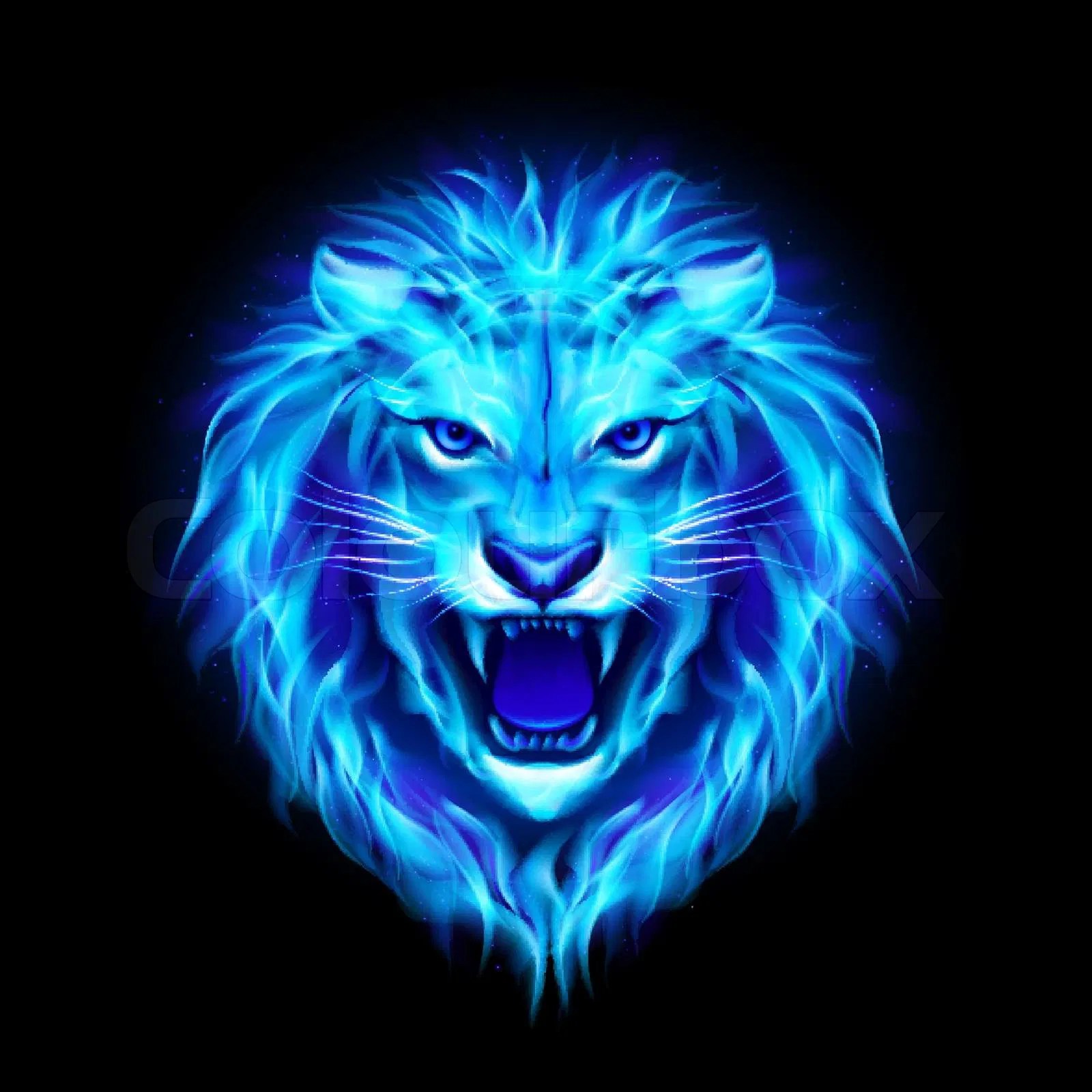 Head of aggressive blue fire lion isolated on black background. Stock