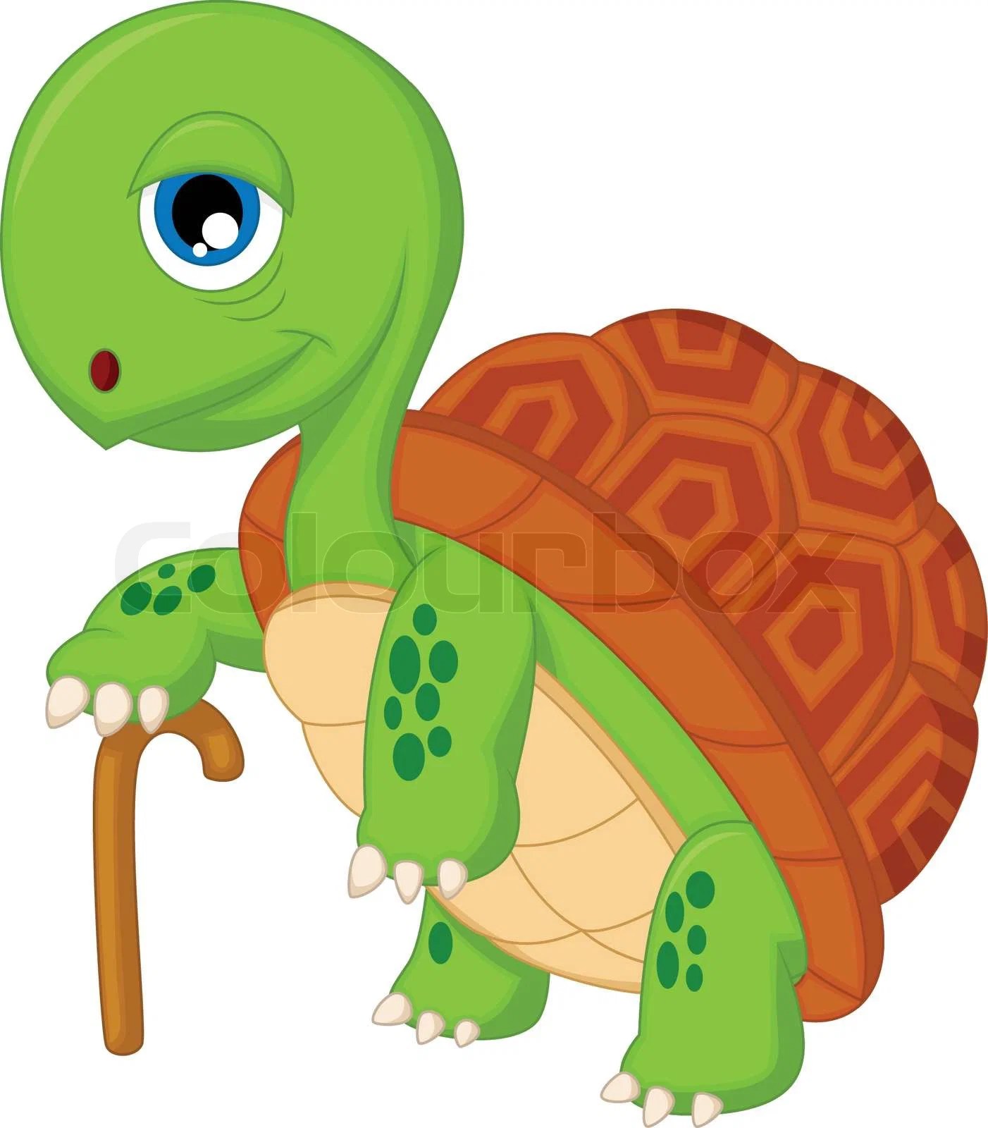 Cartoon alte Schildkröte StockVektor Colourbox