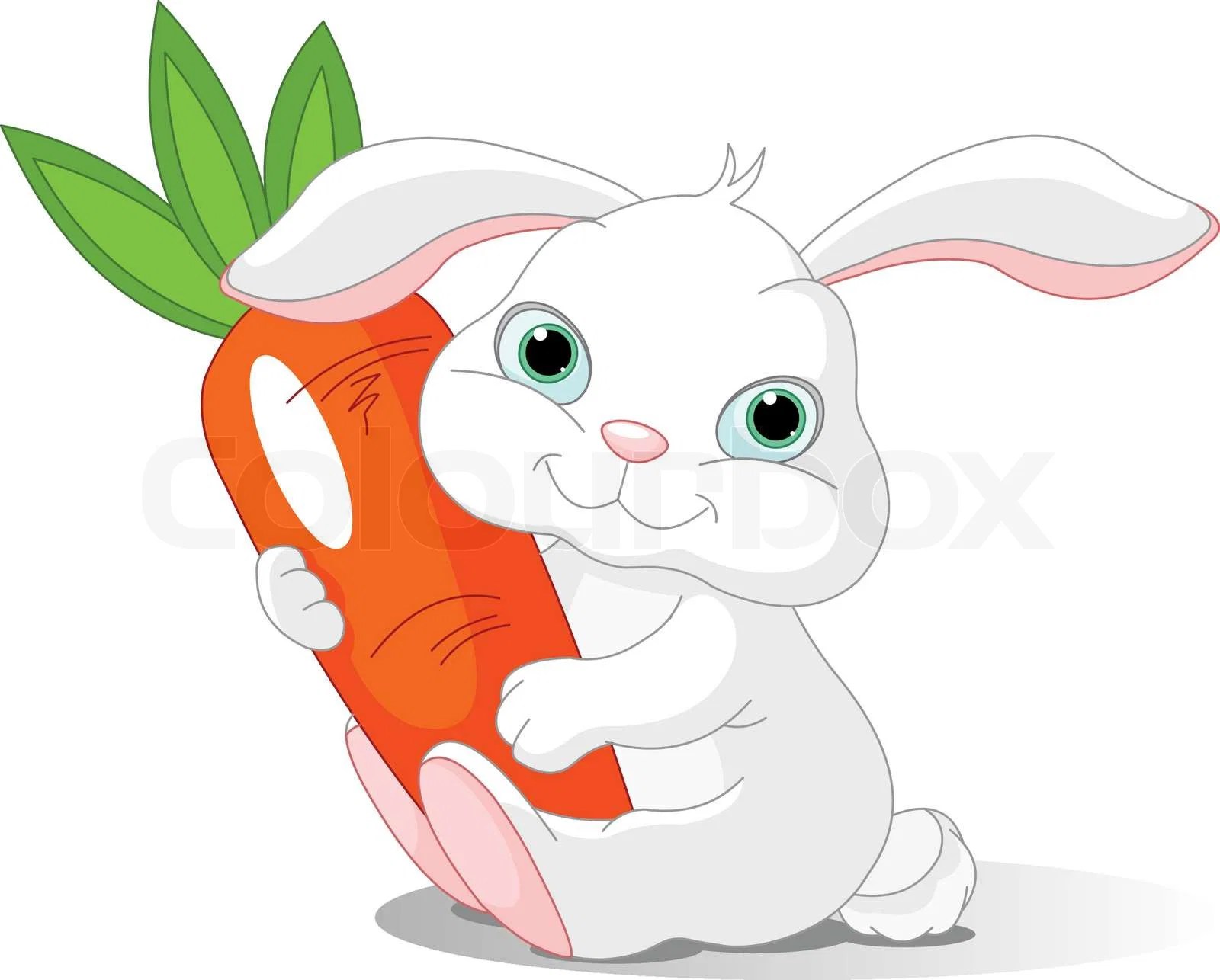 Kanin, kaniner, clipart Stock vektor Colourbox