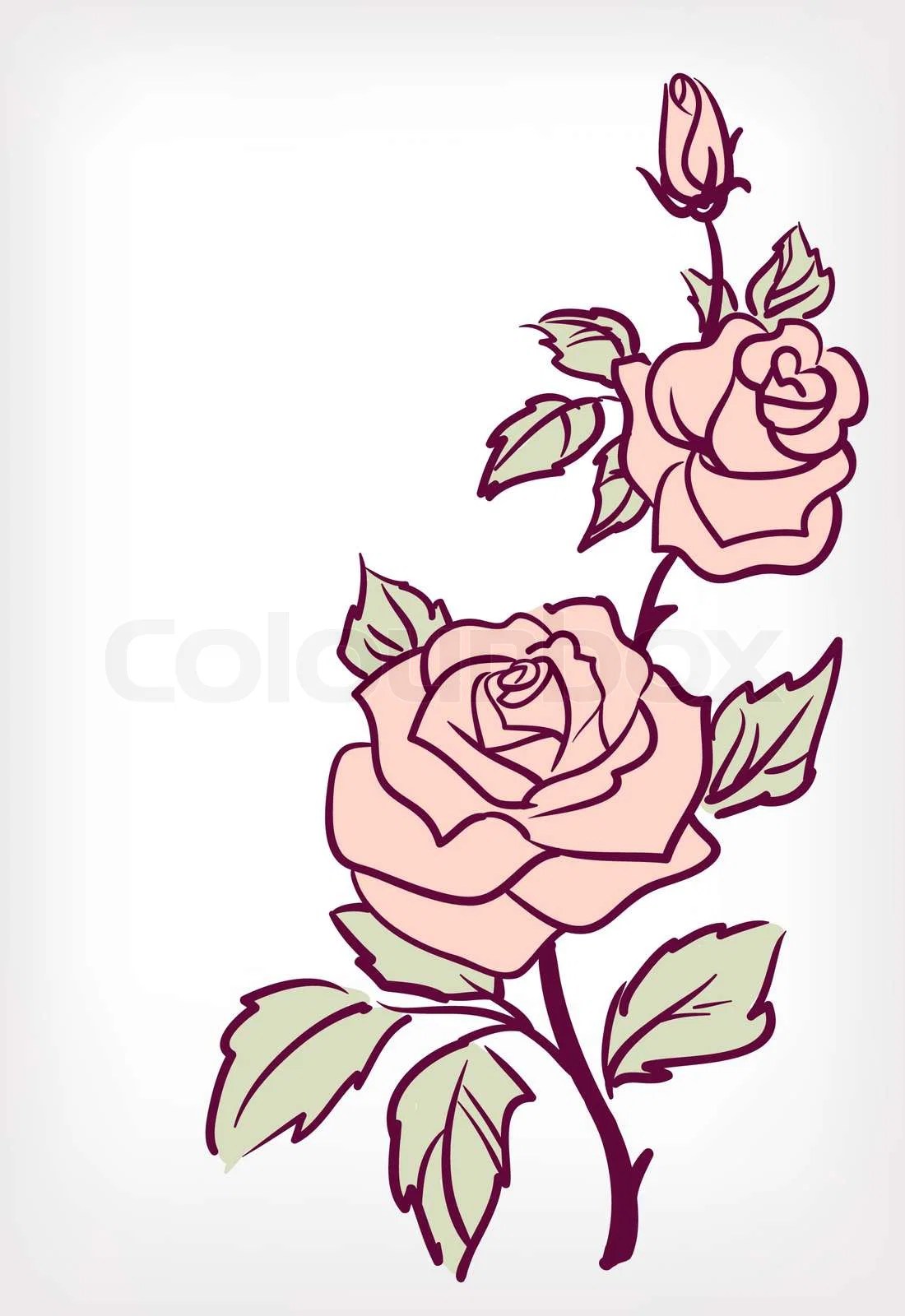 Botanik, blomstret, plante stock vektor Colourbox
