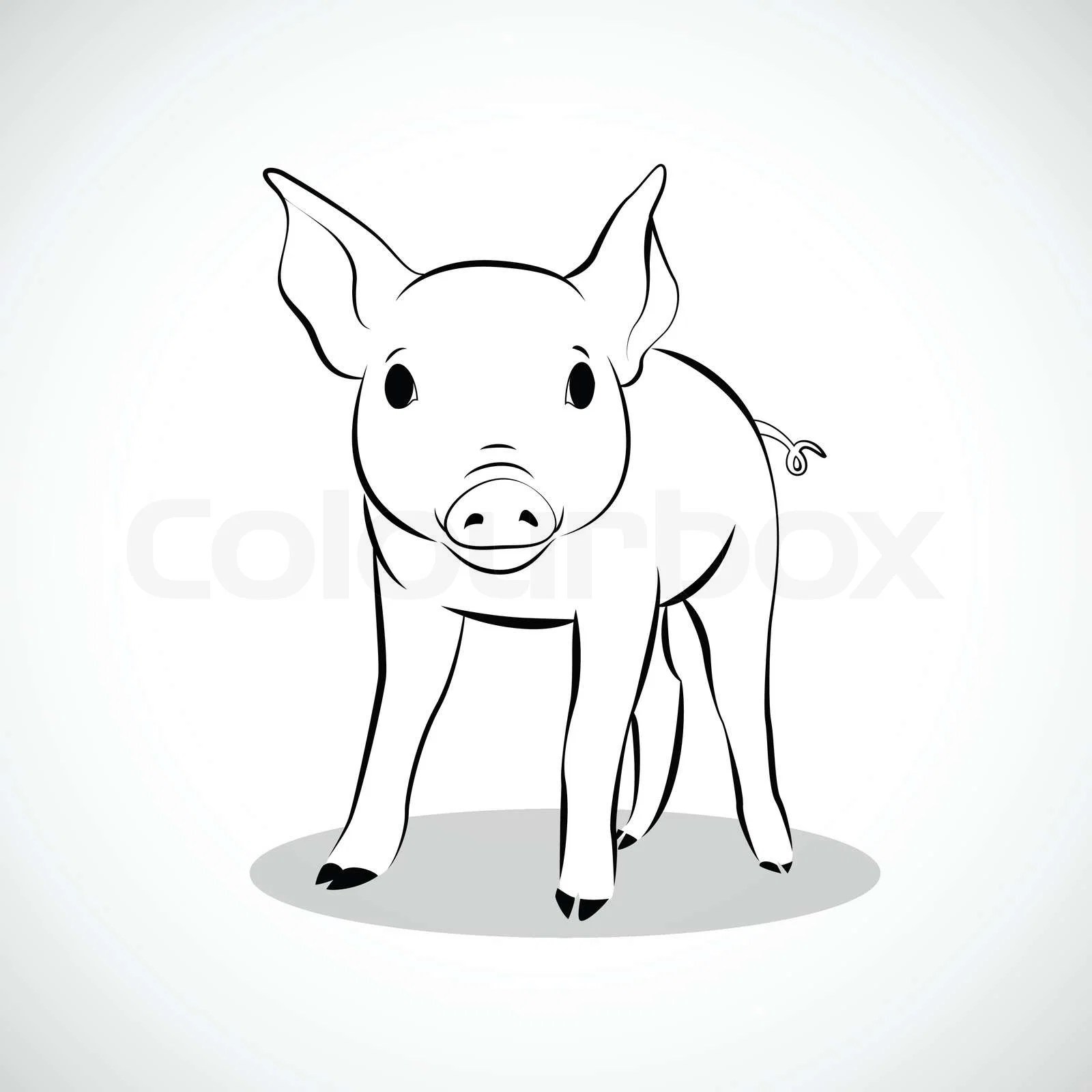 Dyr, illustration, smilende Stock vektor Colourbox