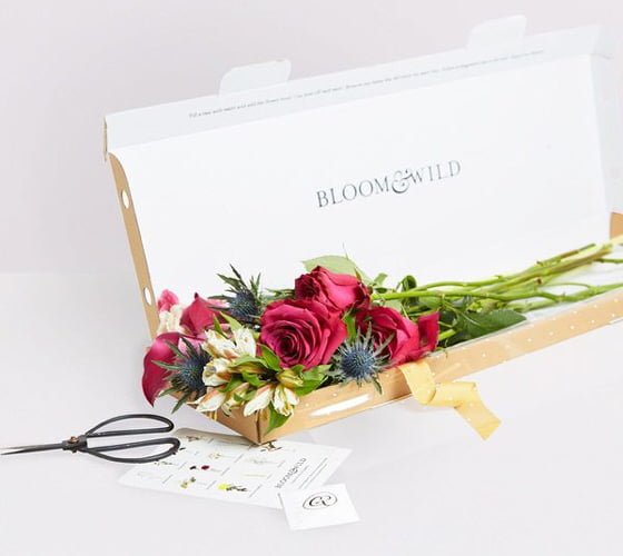 Send flowers now to uk and delight someone with beautiful flowers. Letterbox Flowers From Bloom Wild Colourful Beautiful Things