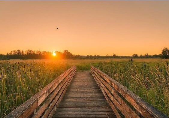 Discover Columbia Credit Union