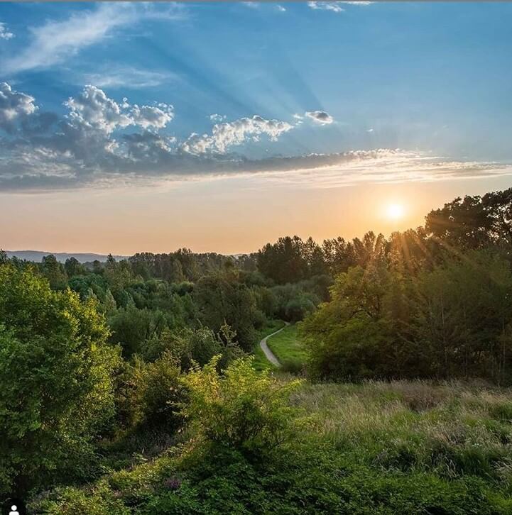 Discover Columbia Credit Union