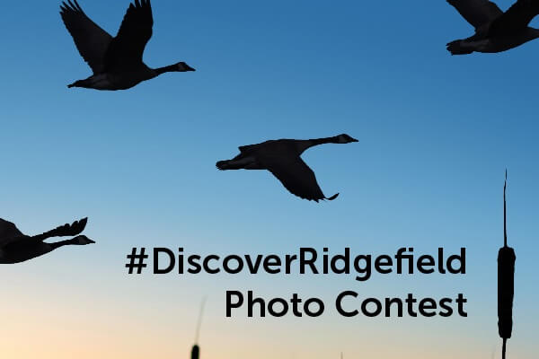 Cool Columbia Credit Union Ridgefield 2022