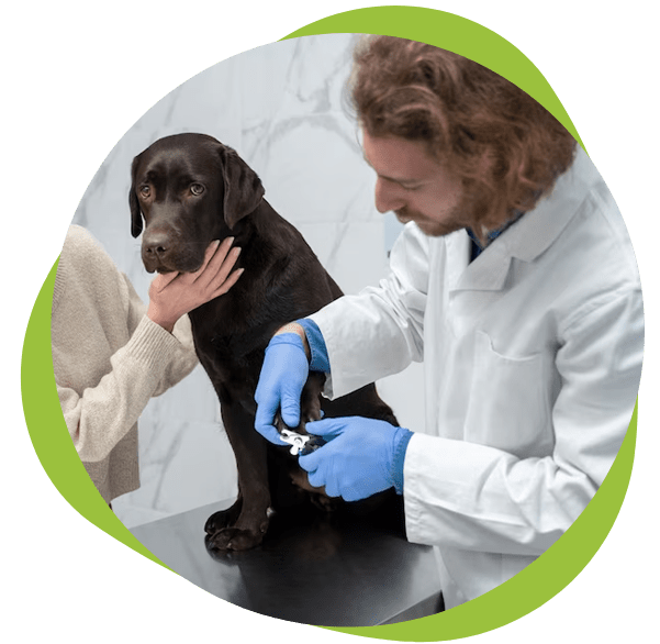 Compounding Columbus Custom Rx Compounding and Wellness