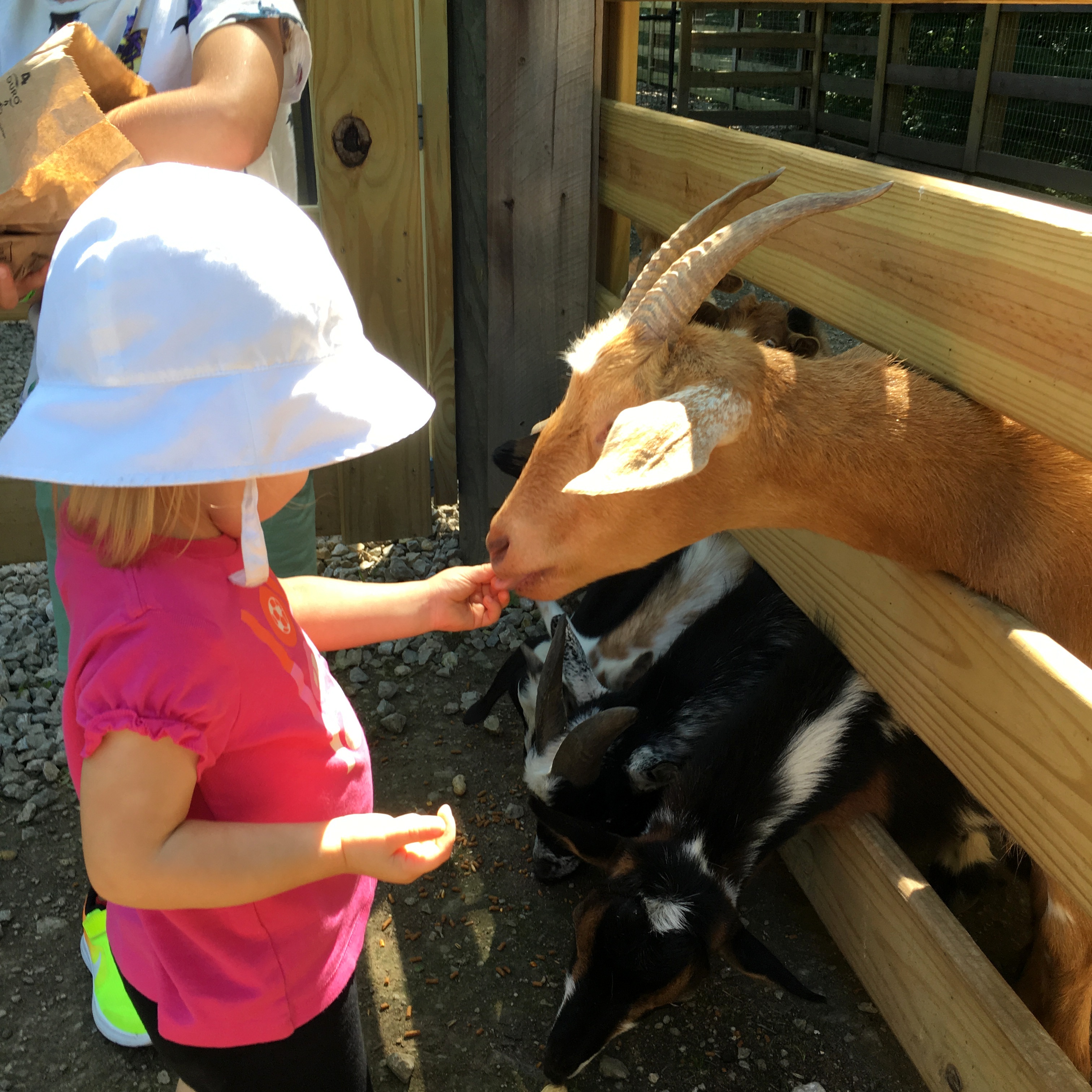 Over 75 Ideas For Spring Break In Columbus