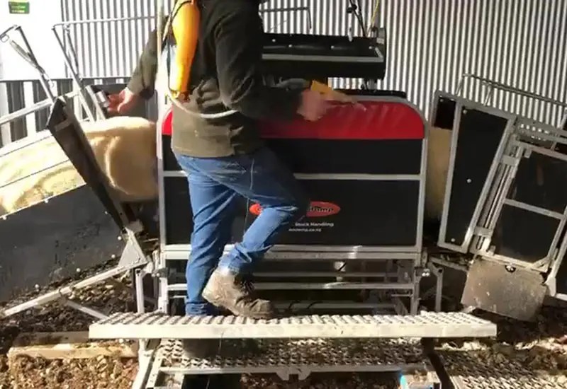 Sheep Handler Combi Clamp