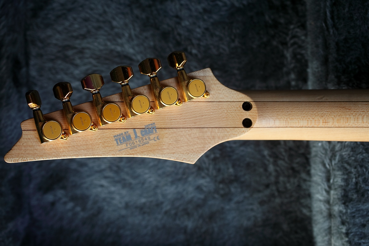 Ibanez Electric Guitar Serial Numbers Search