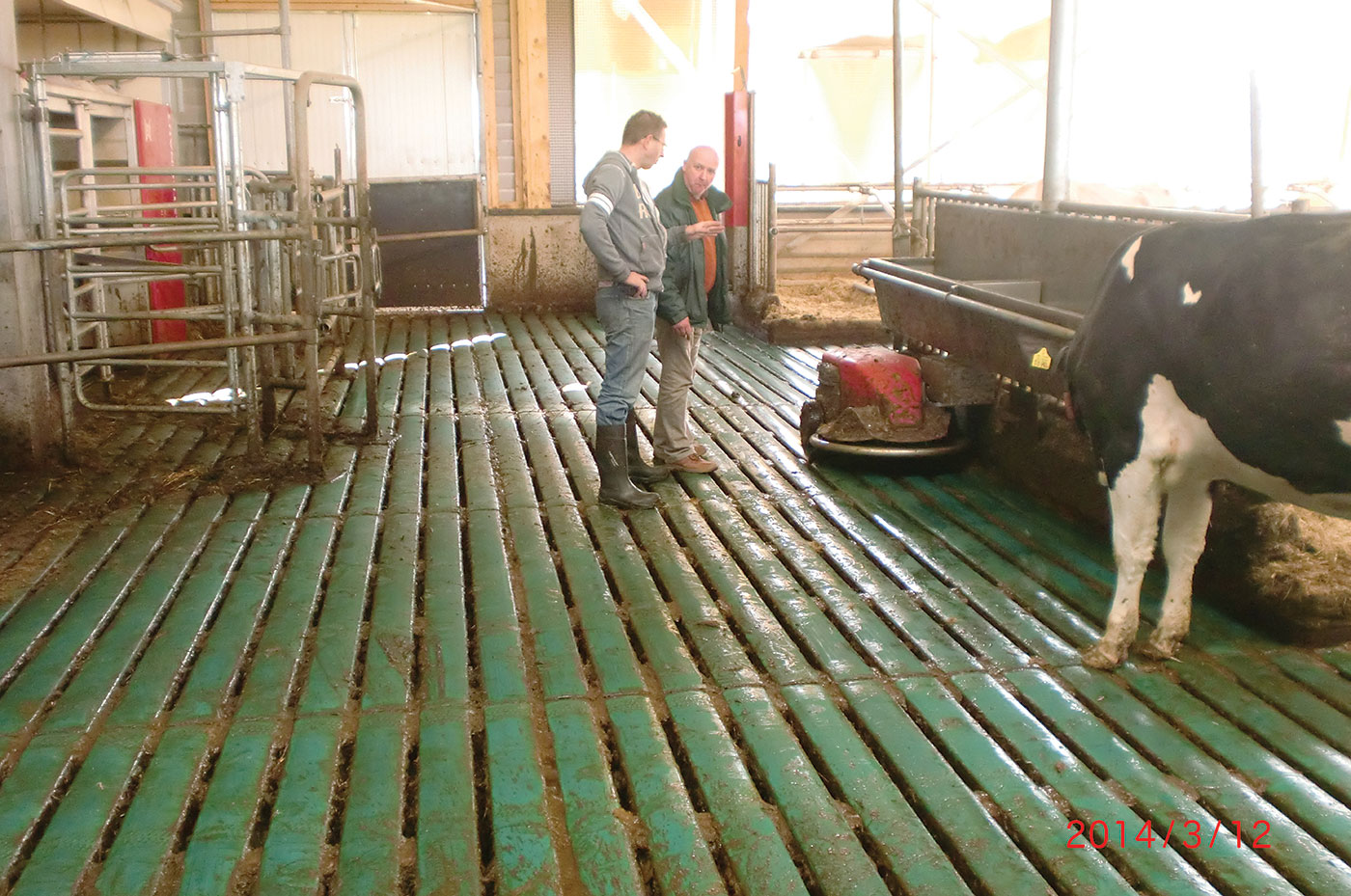 Gallery ComfortSlatMats