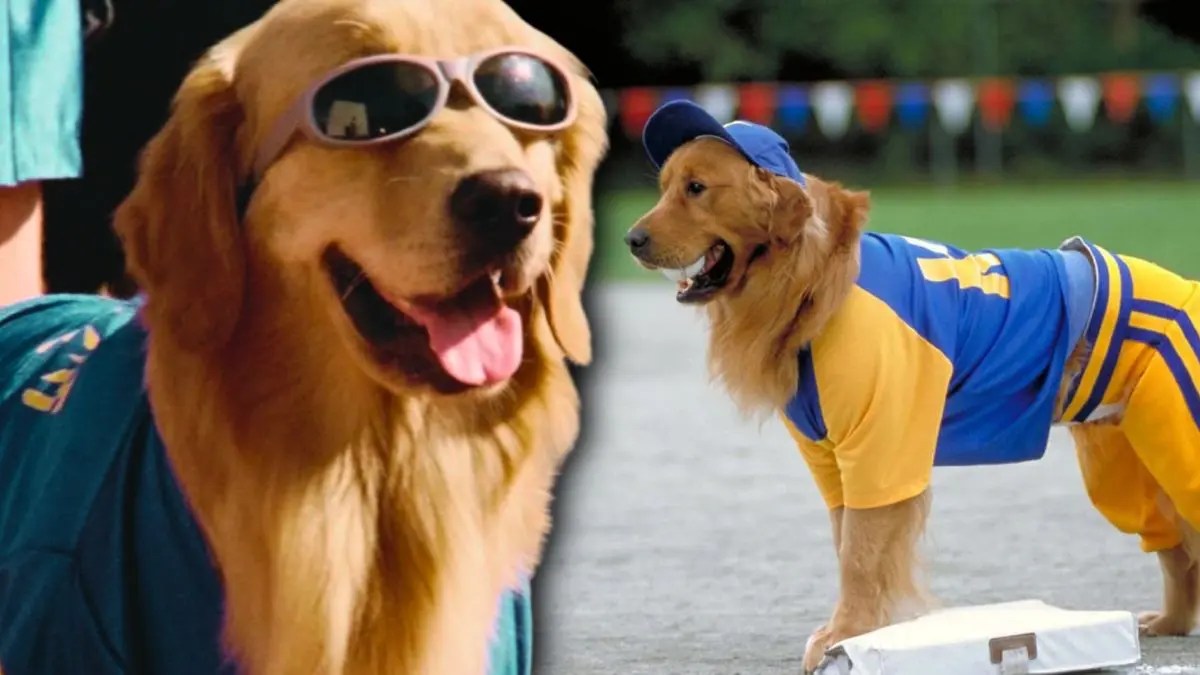 Buddy’s Back! 'Air Bud Returns' Announced with New Poster and 2026