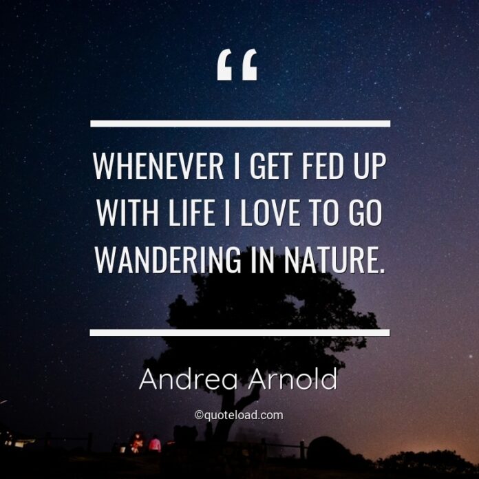Fed Up With Life Quotes And Sayings Earlyyearwallpaper