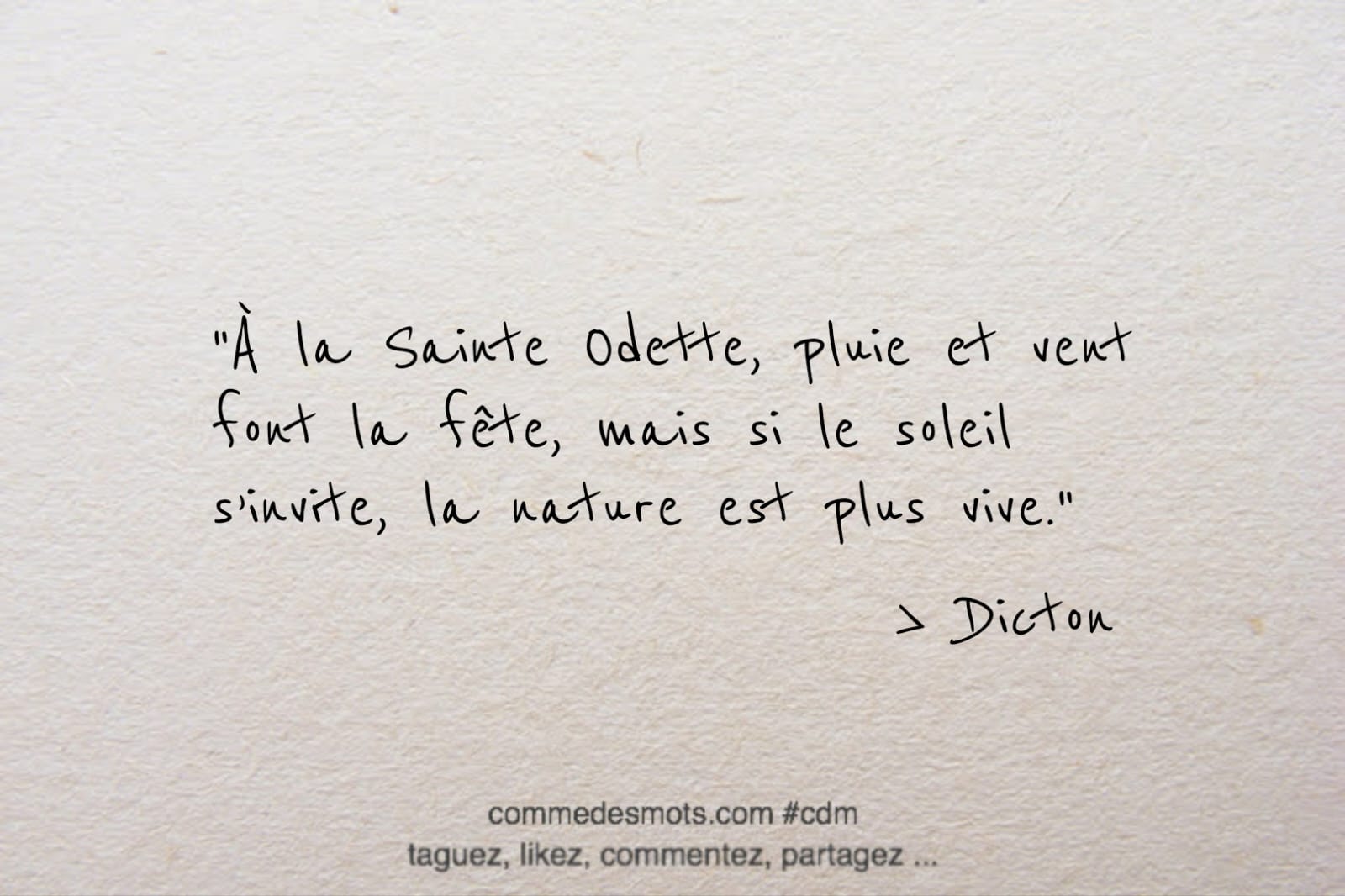 À la Sainte Odette, pluie et vent font la fête Comme Des Mots