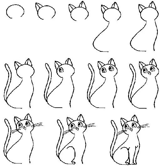 👍 comment dessiner un chat