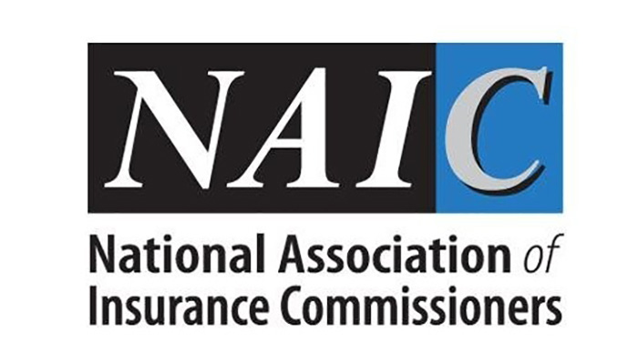 National Specialty Insurance Company Parent Company Awesome