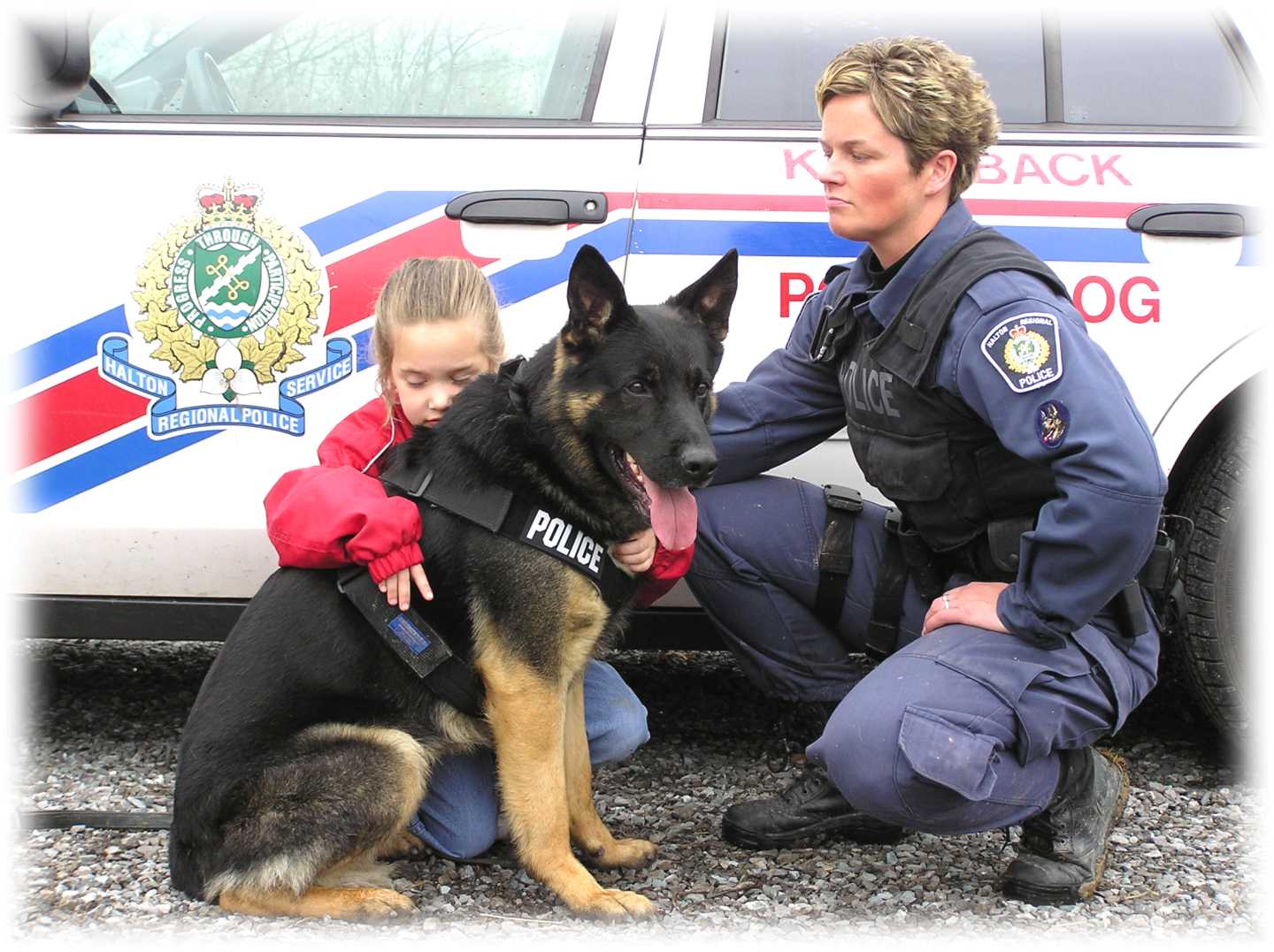 Police Dogs