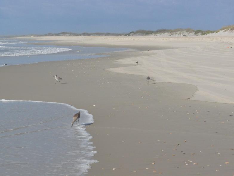 Golf Cart Rentals Ocracoke, North Carolina