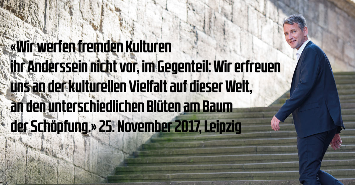 Björn Höcke Die wichtigsten Zitate und Medienhetze gegen Höcke