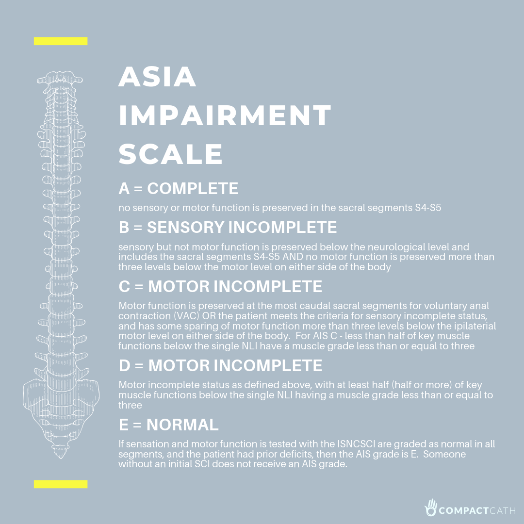 perdonare risultato Corrispondenza asia impairment scale Alla