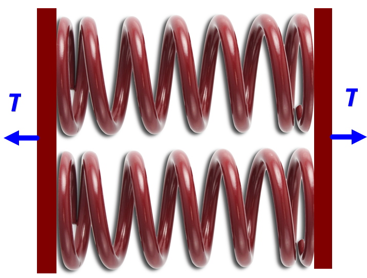 Stretching multiple springs toy model of a muscle Nexus Wiki