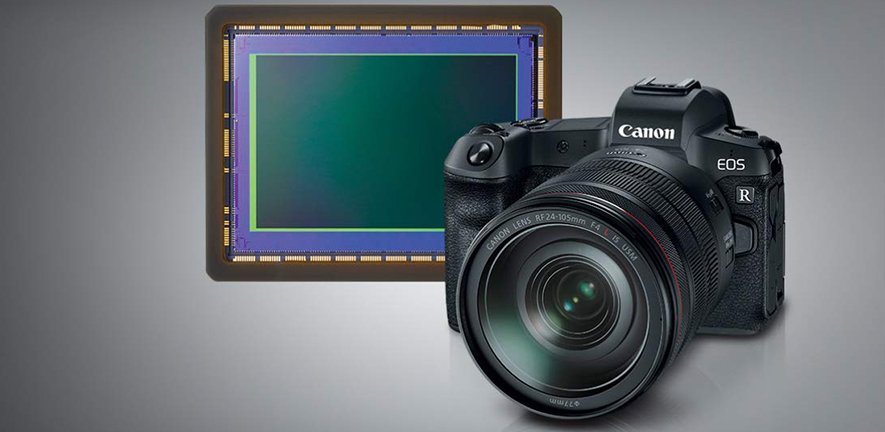 Canon EOS R5 vs R (2021): Upgrading Canon's Mirrorless Camera - Compare