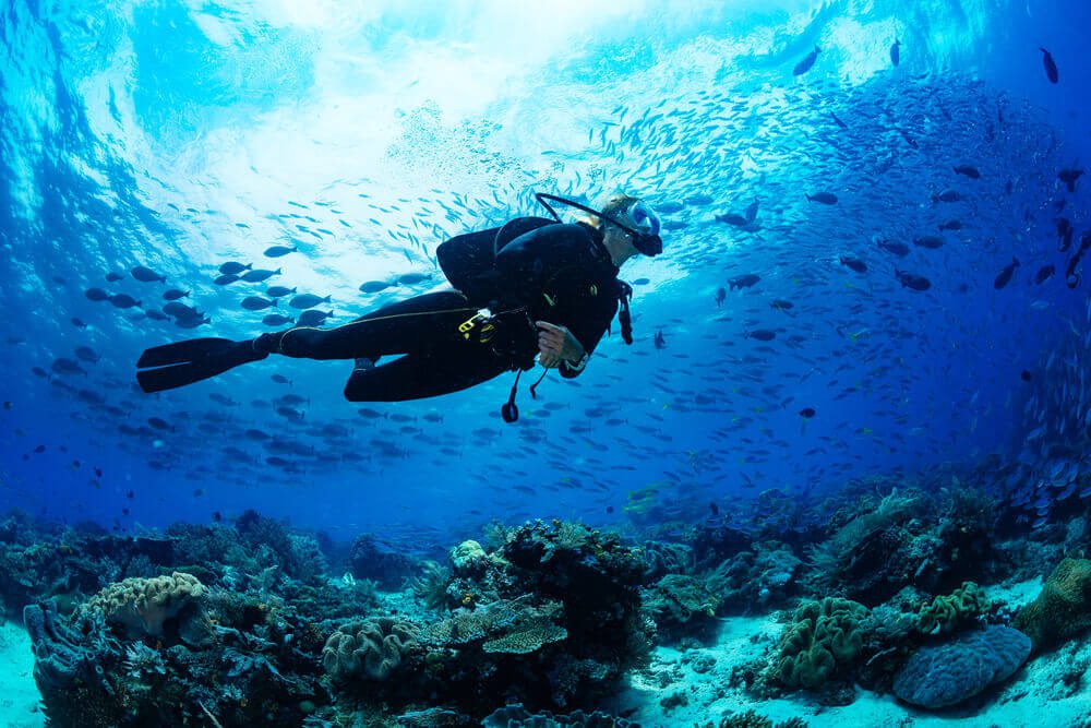 Scuba Diving in Key West, A Guide Compass Realty
