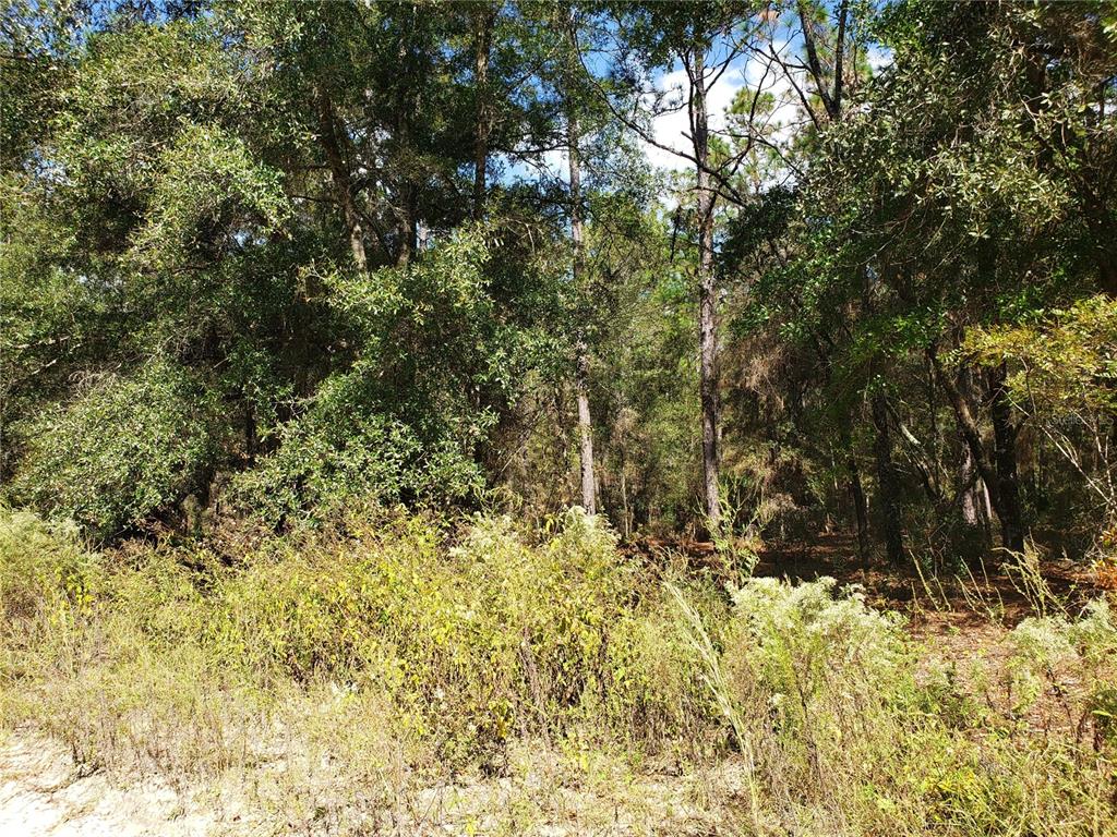 Lot 170 Northwest 57th Avenue, Ocala, FL 34482 Compass