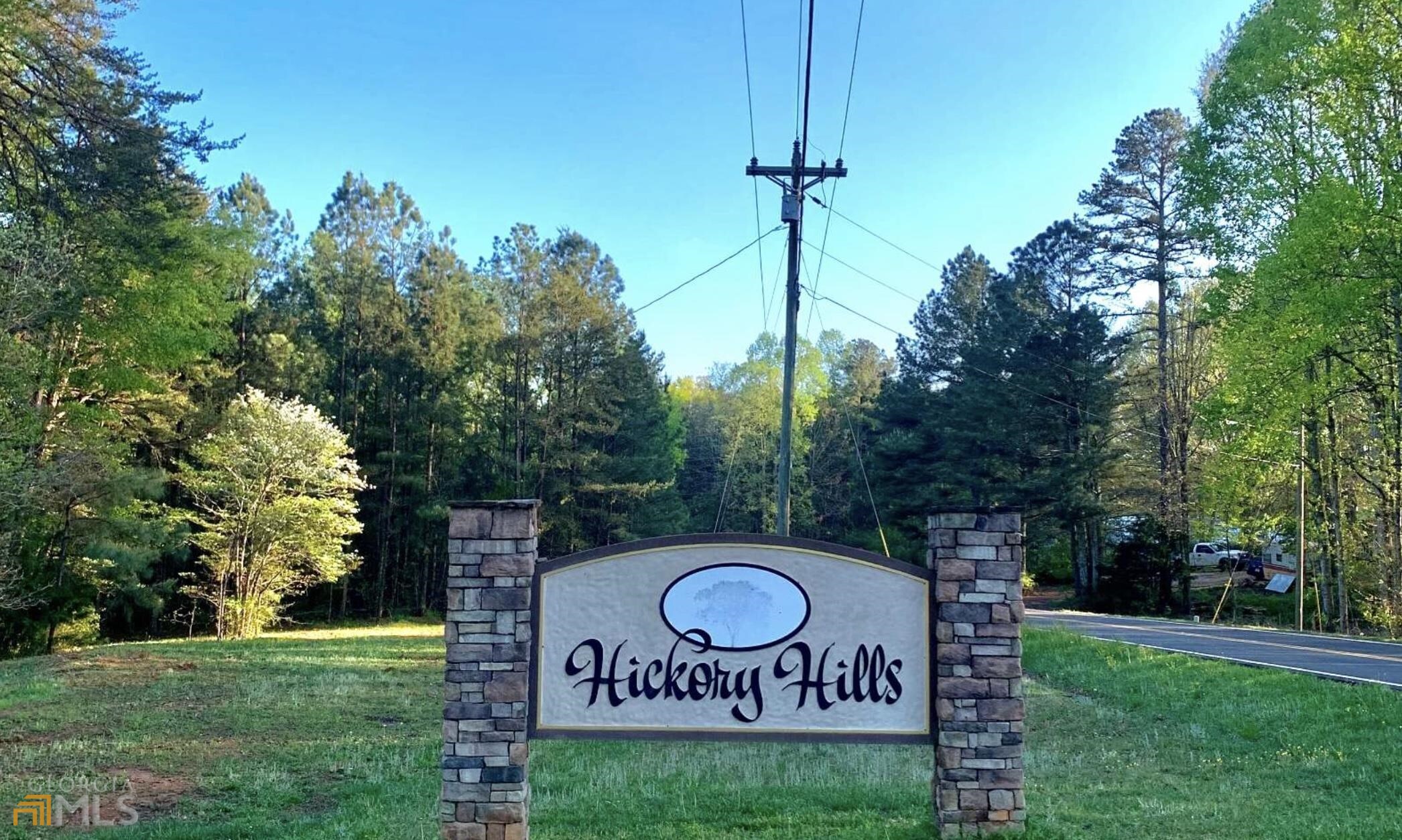 Lt 10 Country Hills Road, Ellijay, GA 30540 Compass