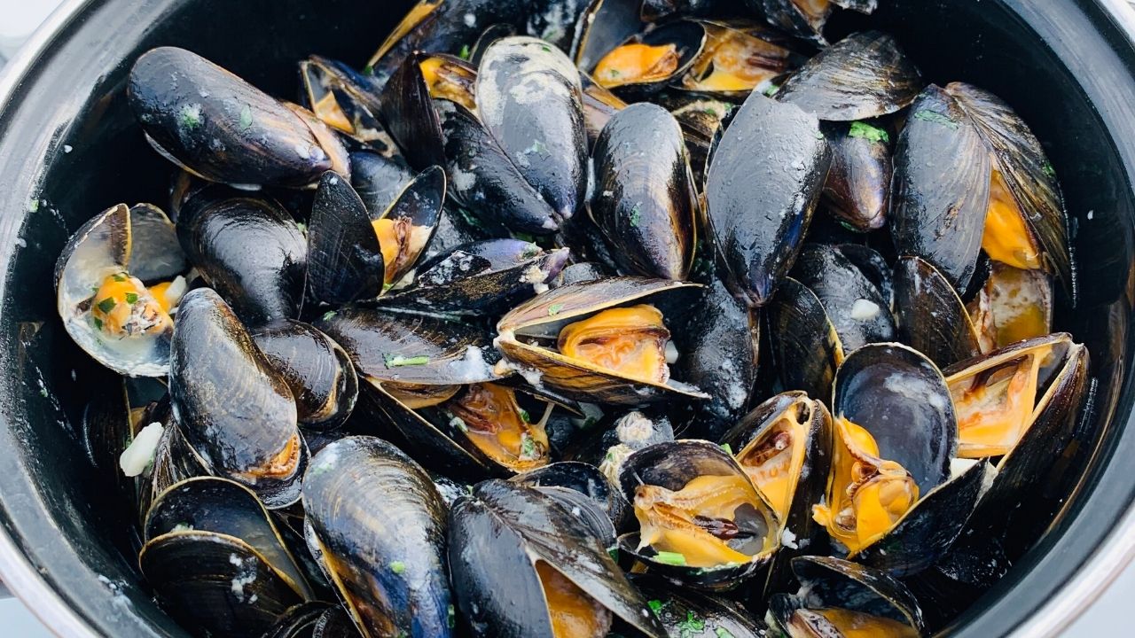 5 MustTry Seafood Restaurants in Myrtle Beach Compass Cove Resort