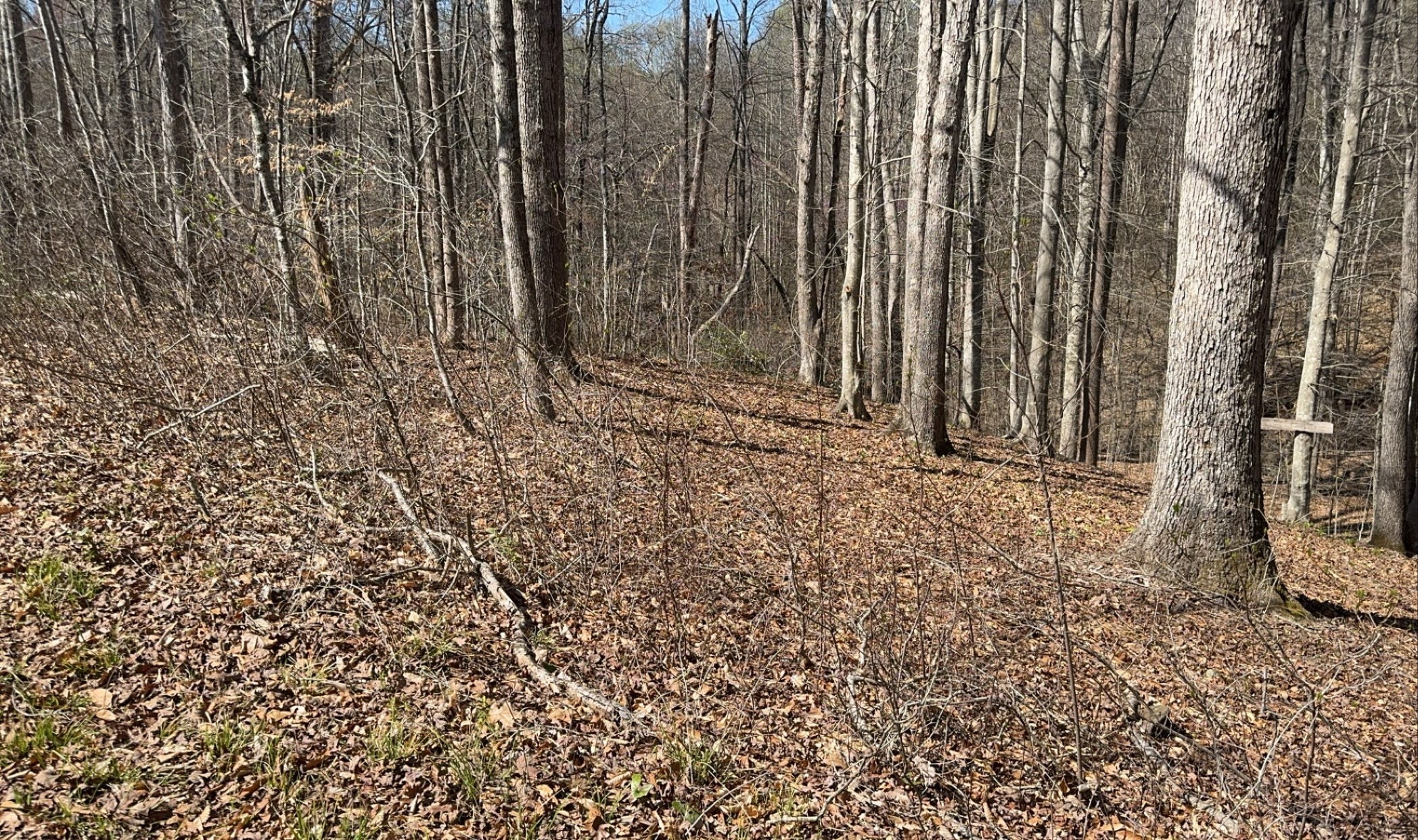 2.15 acres Rutherford County NC Compass Land and Real Estate