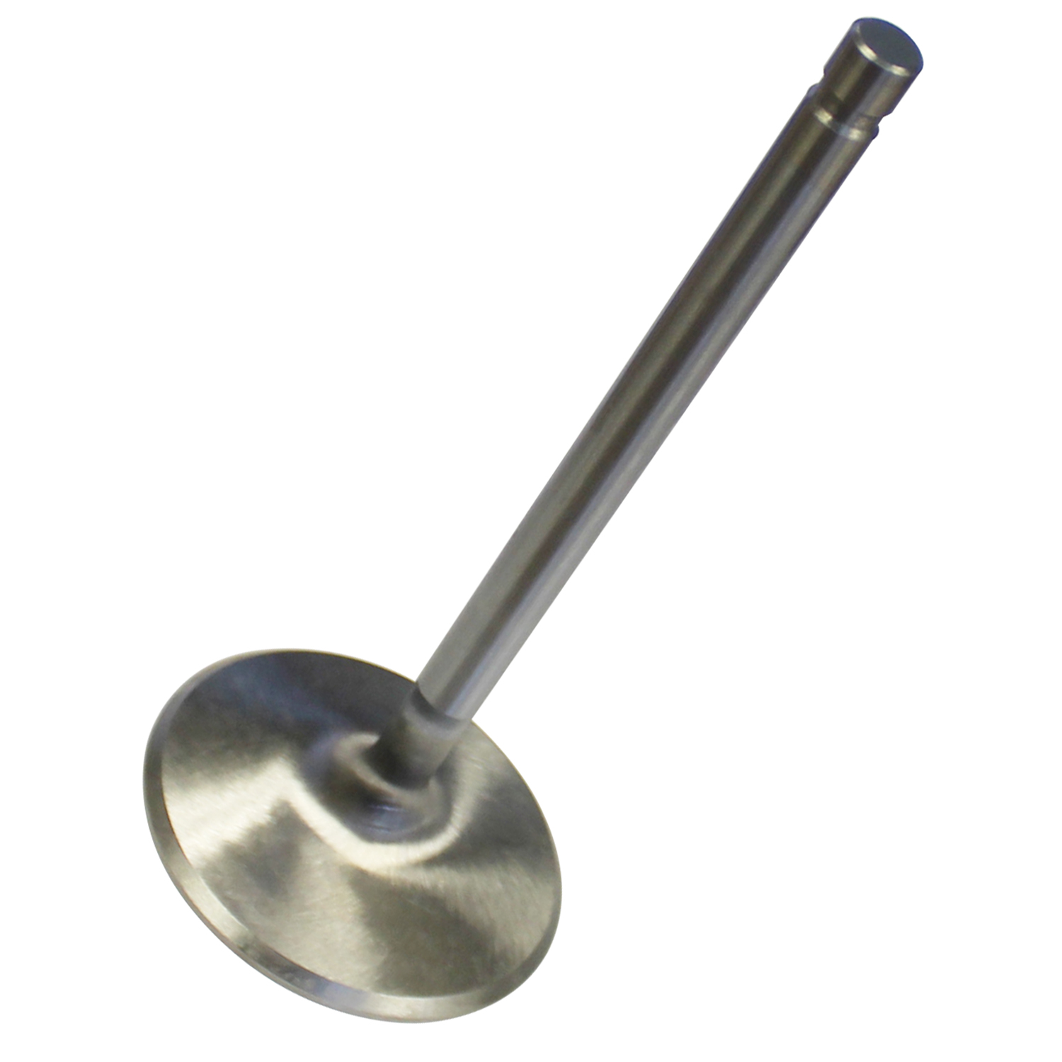 CP, Stainless Racing Valve, Chev BB, 2.250 (Int.), 11/32, +.100