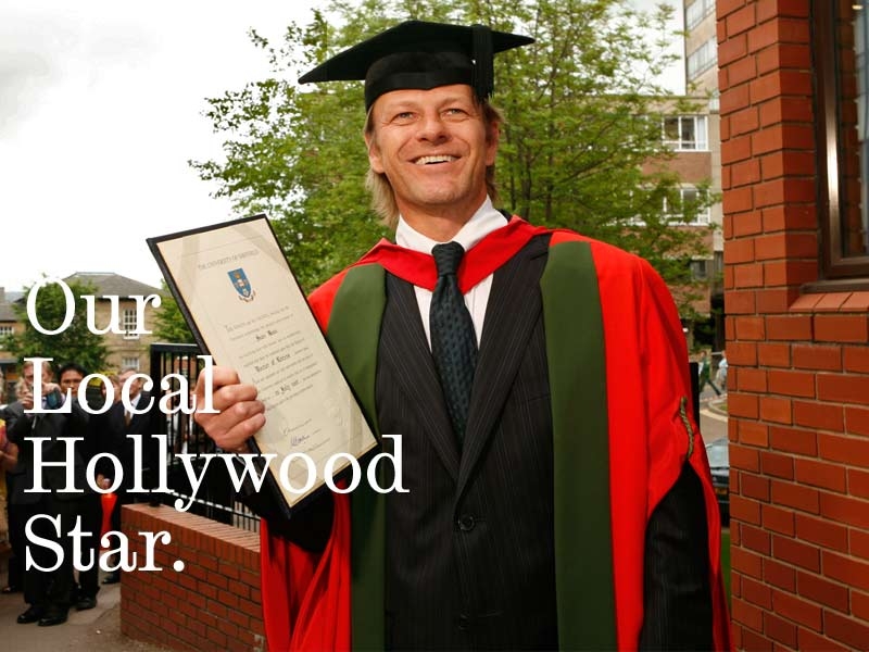 University of Sheffield Degree