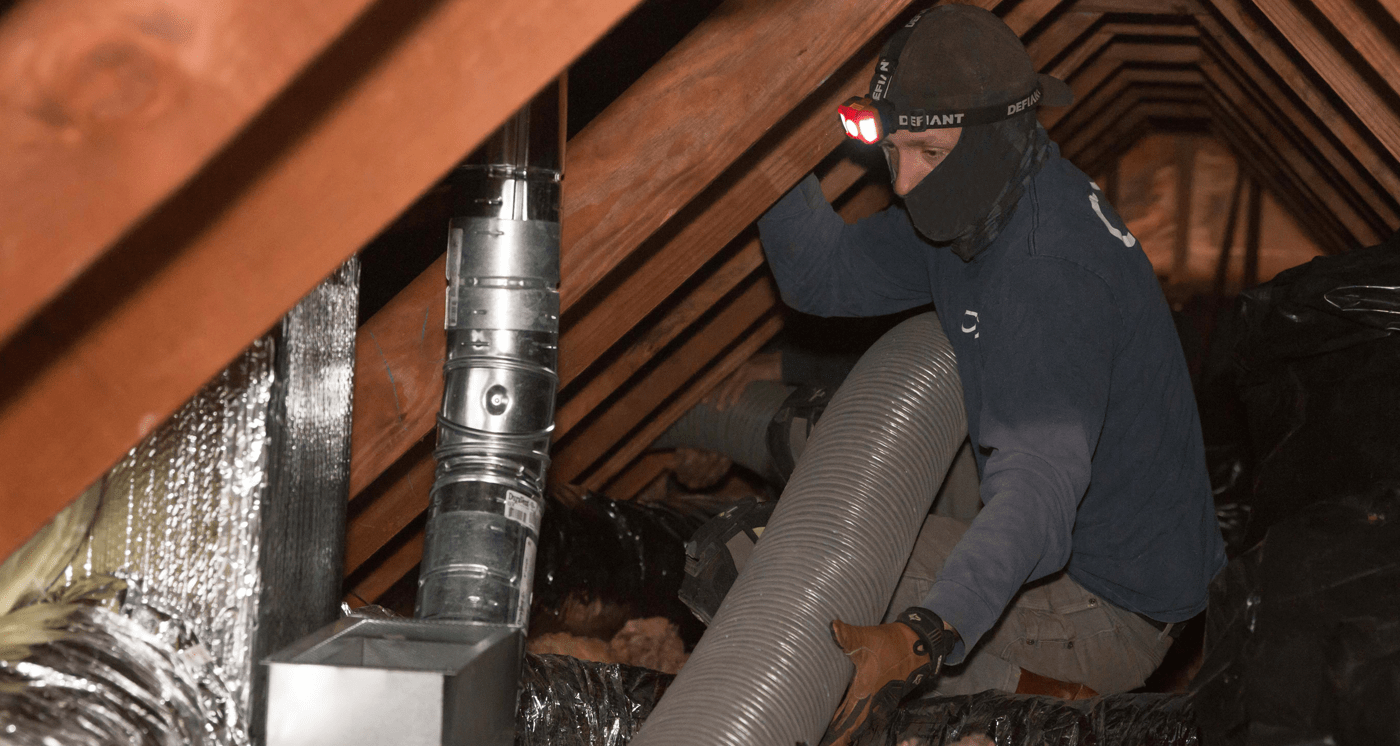 Professional Pest Control Services in San Francisco, The Peninsula