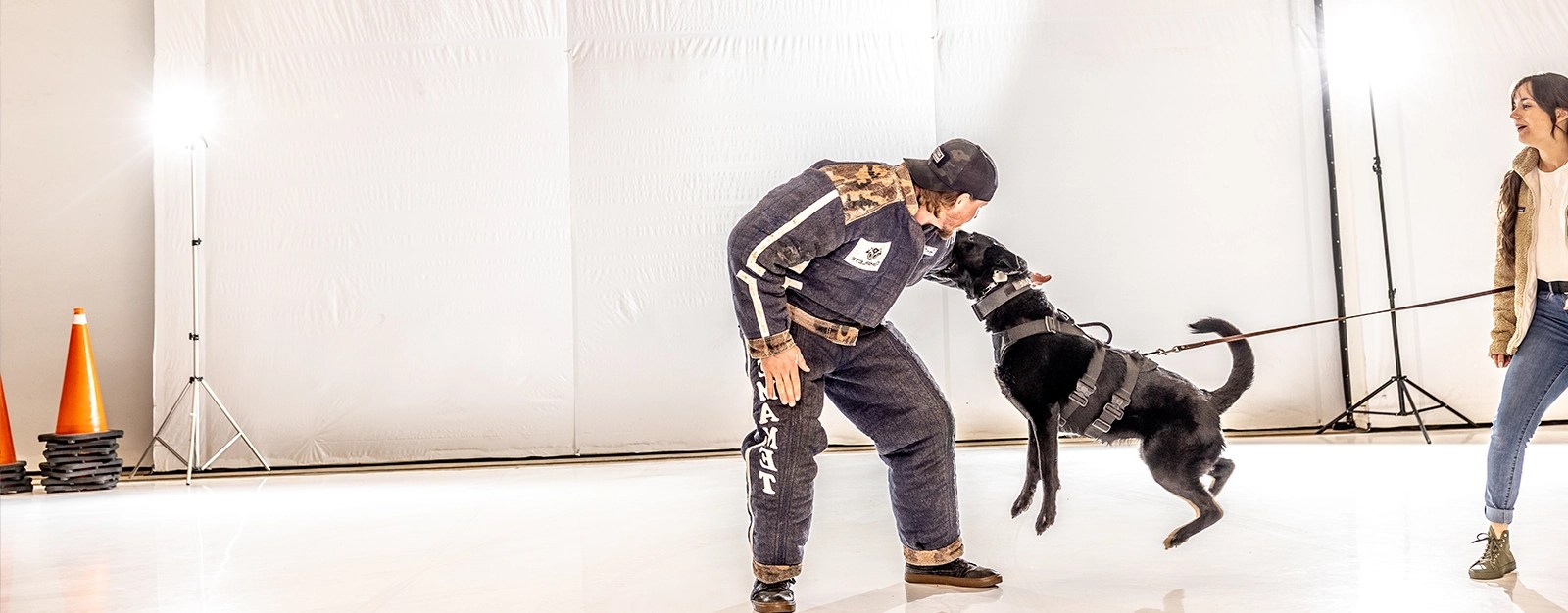 Personal Protection Dog Training Guard Dog Trainers Complete Canine