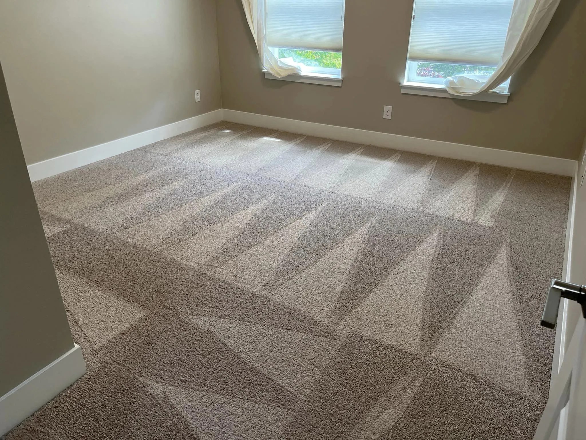 The importance of regular carpet cleaning Complete Carpet Care
