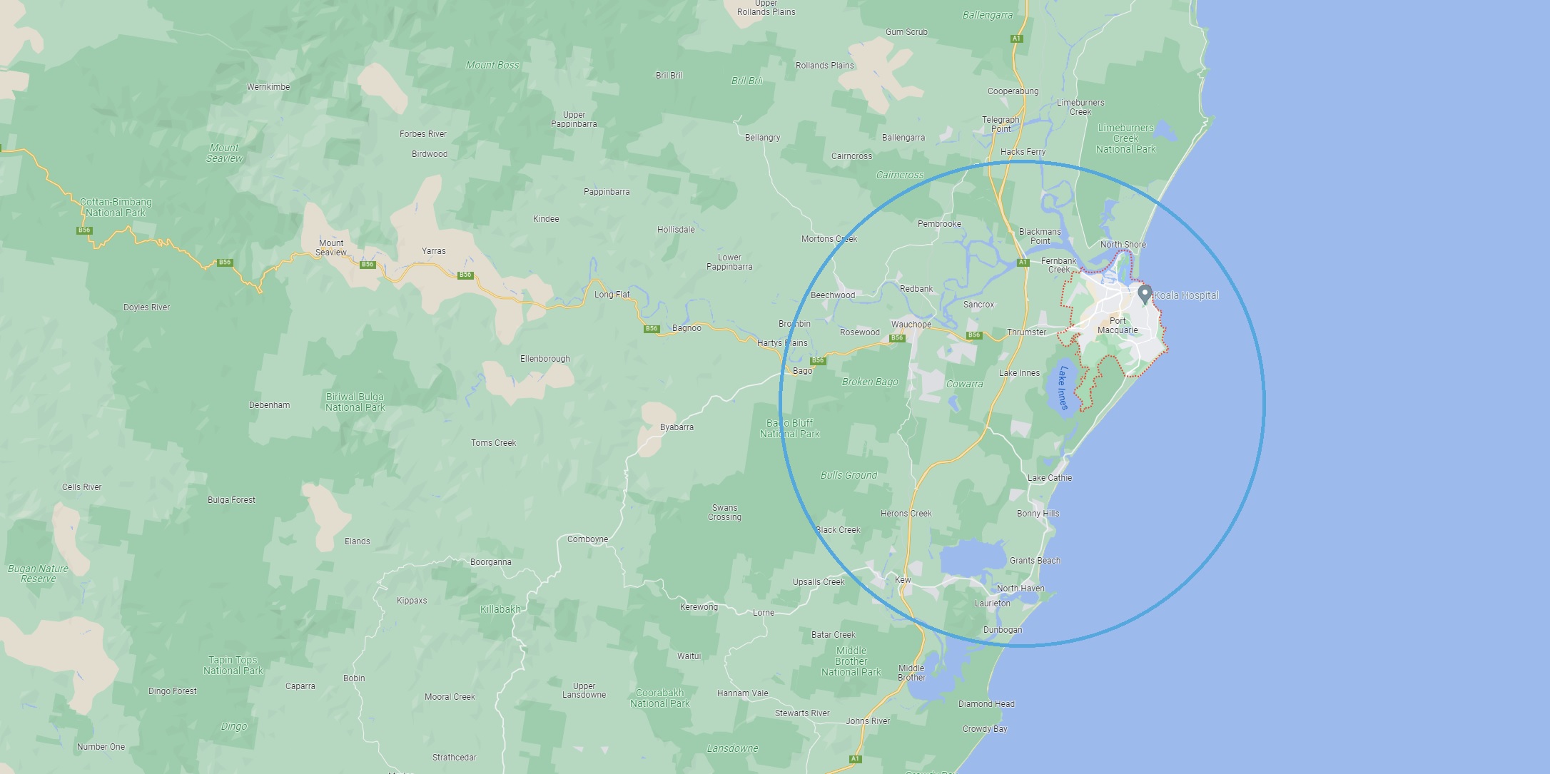 Complete Clean Port Macquarie Complete Cleaning Carpet, Window