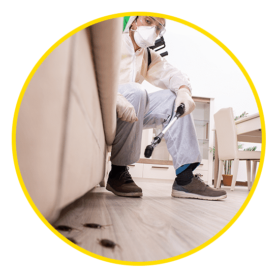 Pest Control in Western Pennsylvania Complete Pest Solutions