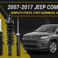 CompleteStruts - Front & Rear Quick Complete Struts & Coil Spring