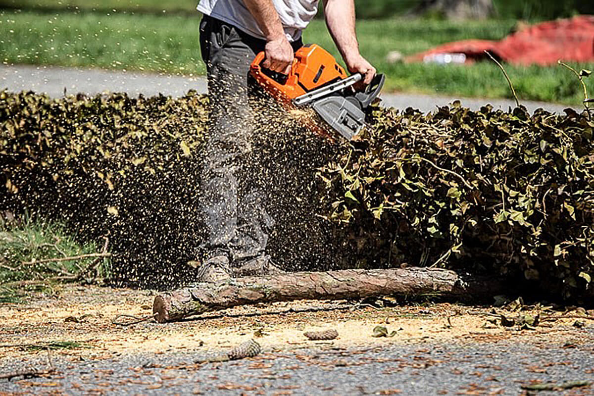 Who We Are Complete Tree Care, Inc.