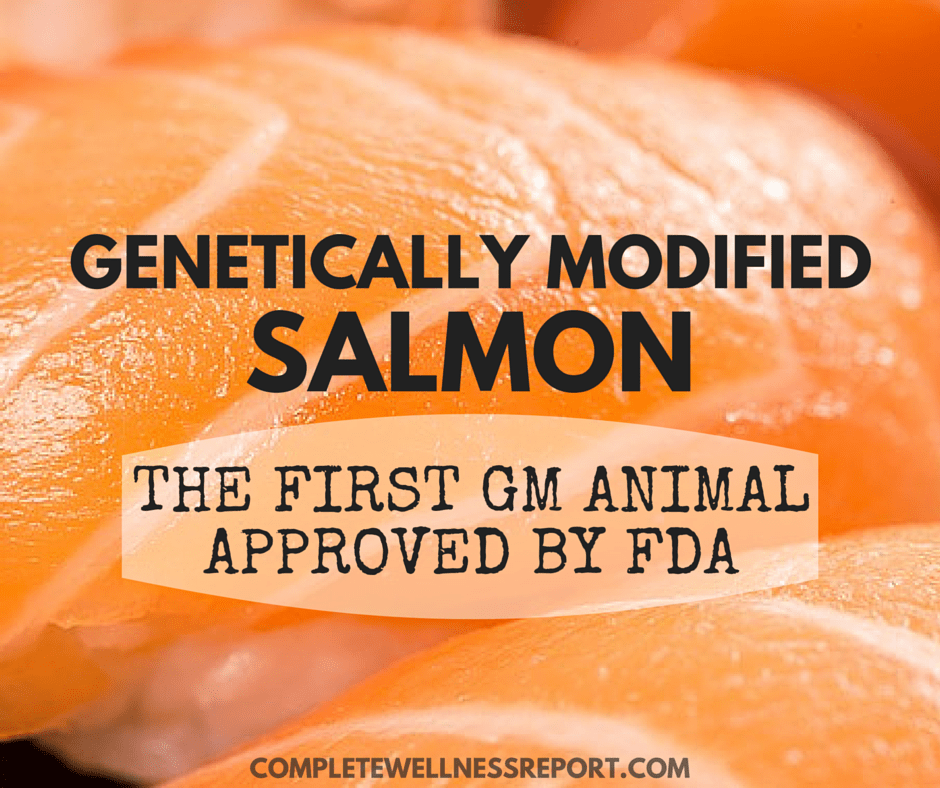 Buyer BEWARE Sold Without Label, GMO Salmon Coming To A Grocery Store Seafood Dept Near You