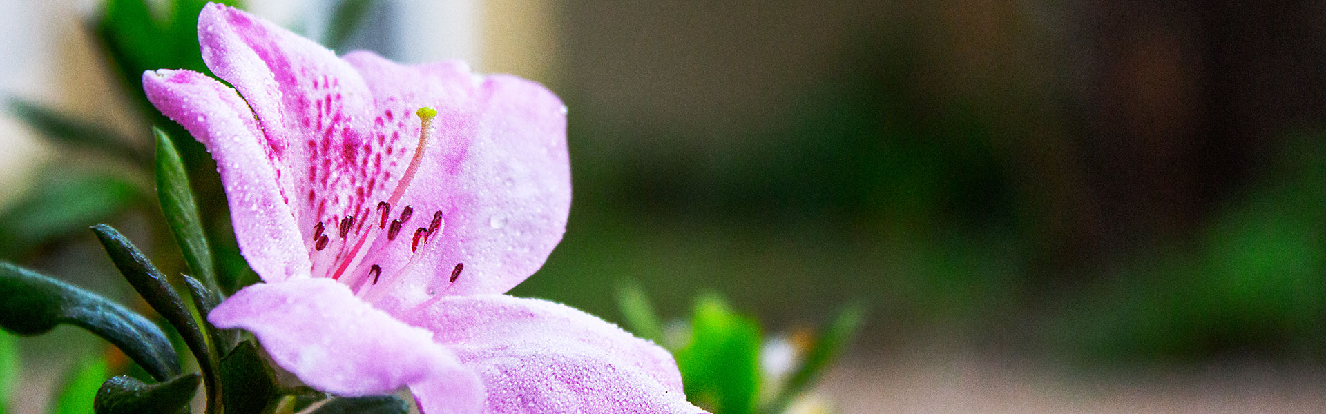 ABOUT US Complexe Funeraire Loreto