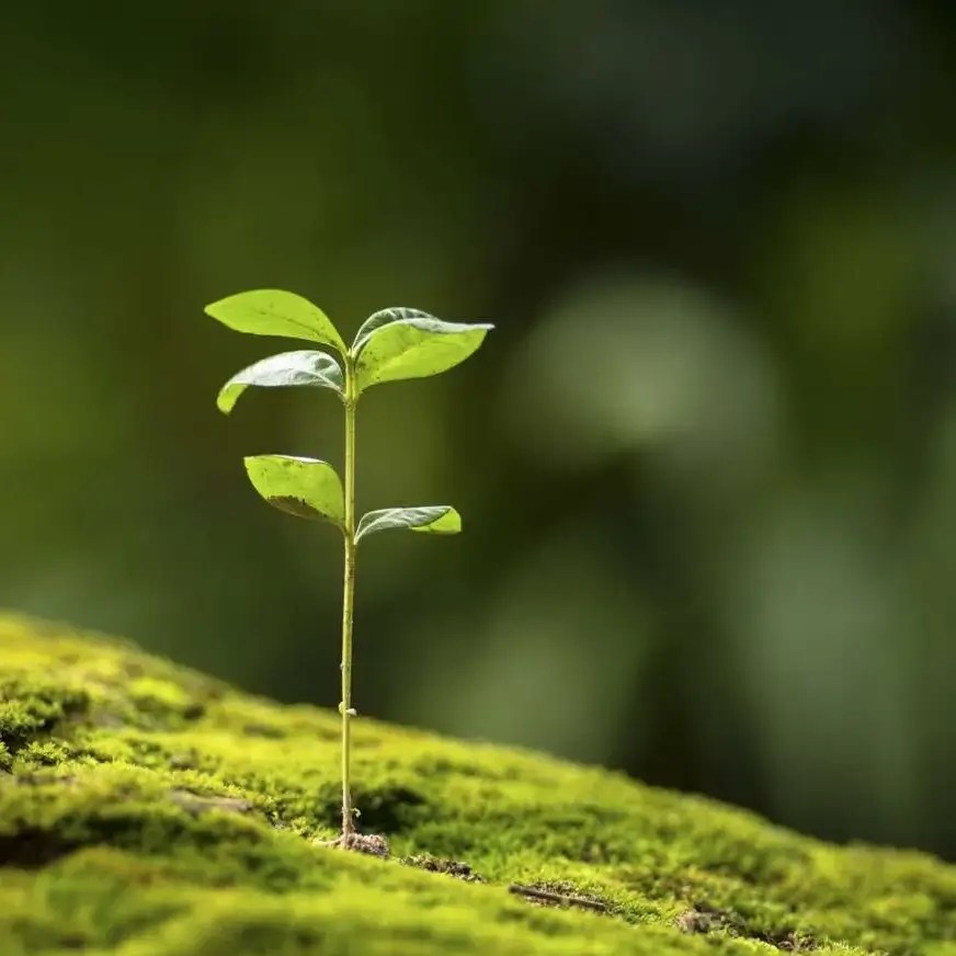 Our Mission Buy & Sell Surplus Electronic Components Component Sense