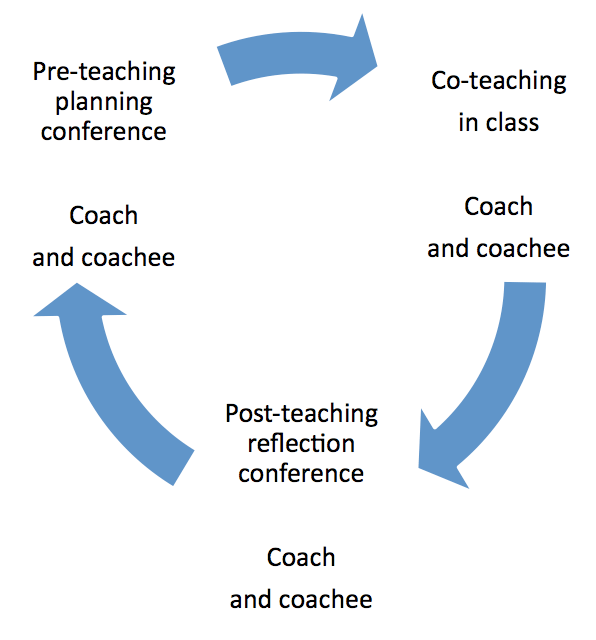 Visualization of coaching process as cycle