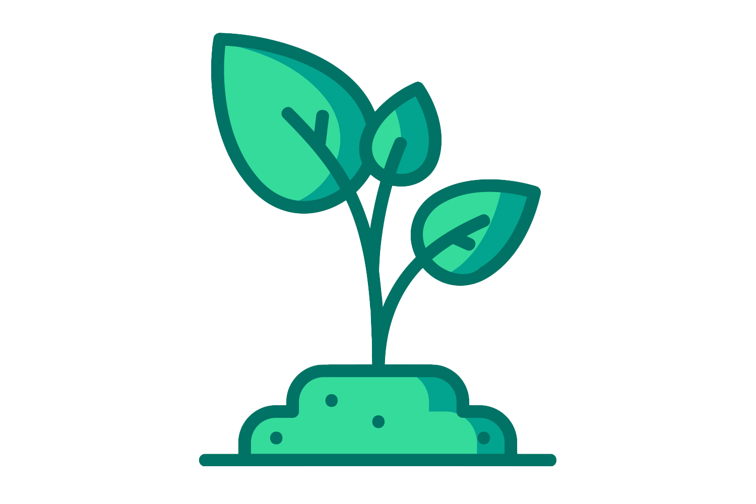 Where To Buy Compost Compost Connect